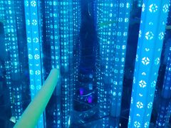 -百万葵园