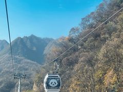 -栾川竹海野生动物园