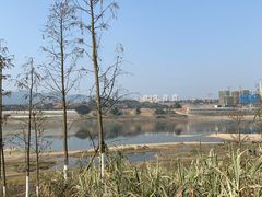 -金海湾滨江公园