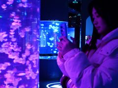 -重庆欢乐海底世界