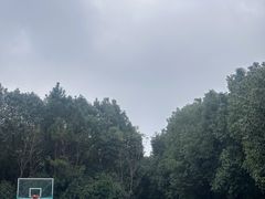 -雨花胜境