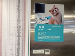 -伟伟宠物医院·CT影像中心·瑞派犬猫综合性门诊(汉口总院)