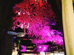 大堂-韵秋荷(宝山龙湖天街店)