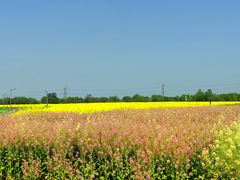 -中国天府农业博览园
