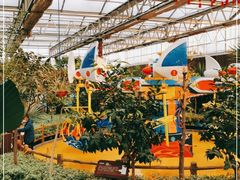 -南宫五洲植物乐园