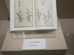 展品-广东省博物馆