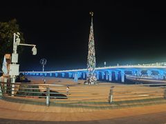 -演武大桥观景平台