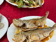 -蛇口康乐快餐鱼仔档(翠苑小区店)