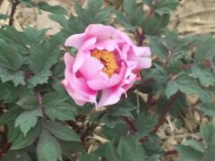 -江南大学-第一食堂(江南苑)