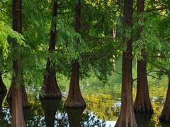 -华南国家植物园-售票处