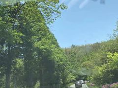 -大围山国家森林公园