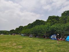 -昆山城市生态森林公园