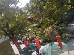 -仙岳公园