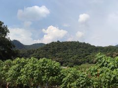 -广州市石门国家森林公园