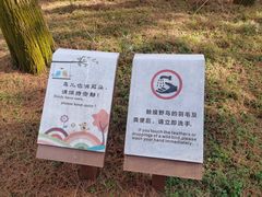-同里国家湿地公园