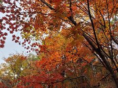 -本溪老边沟风景区