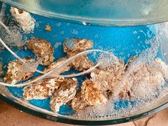 -晓伟海鲜家常菜