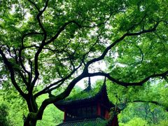 -岳麓山风景名胜区