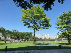-白鹭洲公园
