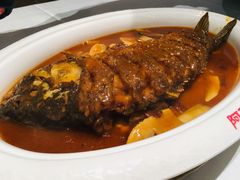 -阿五黄河大鲤鱼(英协路店)