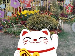 -无锡梅园公园