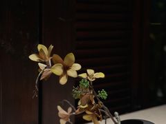 -老房子金沙元年川菜食府·花园餐厅(金沙店)