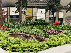 -青岛胶东国际机场