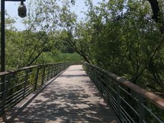 -西湖风景区-江洋畈生态公园