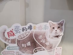 -伟伟宠物医院·CT影像中心·瑞派犬猫综合性门诊(汉口总院)
