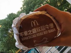 -麦当劳(杨高南路店)