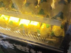 -猫的魔法密林(衣裳街店)