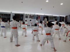 -极真空手道修远道场