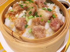 -金燕岛潮州酒楼