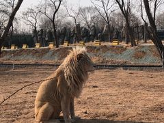 -秦皇岛野生动物园