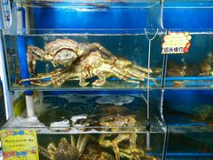 -蚝专家(北滘店)