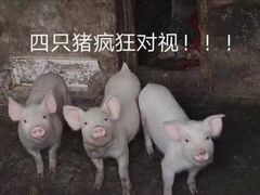 -老乡鸡(合肥火车站店)