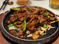 铁板金不换牛肉鹿茸菇-港丽餐厅(天河城店)