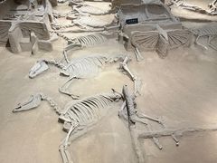 -洛阳周王城天子驾六博物馆