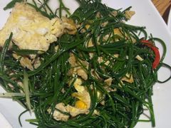 -毡房姑娘·新疆菜·烧烤