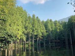 -波尔登森林公园