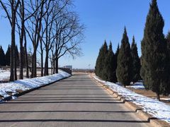 -秦始皇帝陵博物院-丽山园