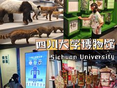 -四川大学博物馆