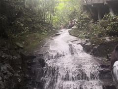 -藏龙百瀑风景区