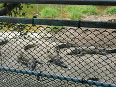 -广东茂名森林公园