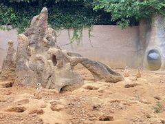 -杭州野生动物世界