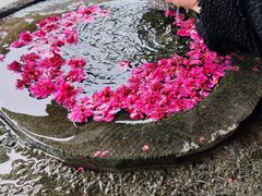 -世间香境·七溪地