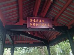 -桂湖森林公园