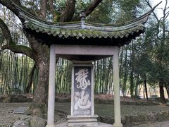 -兰亭风景区