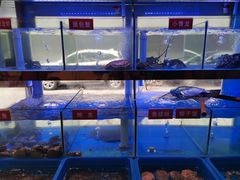 -小龍鳳·港式海鲜打边炉(沙湖路店)
