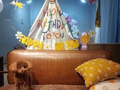 -百好乐宠物友好餐厅(朝外大街店)